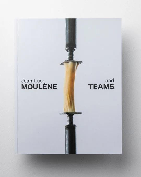 Cover of the Jean-Luc Moulène and Teams catalogue