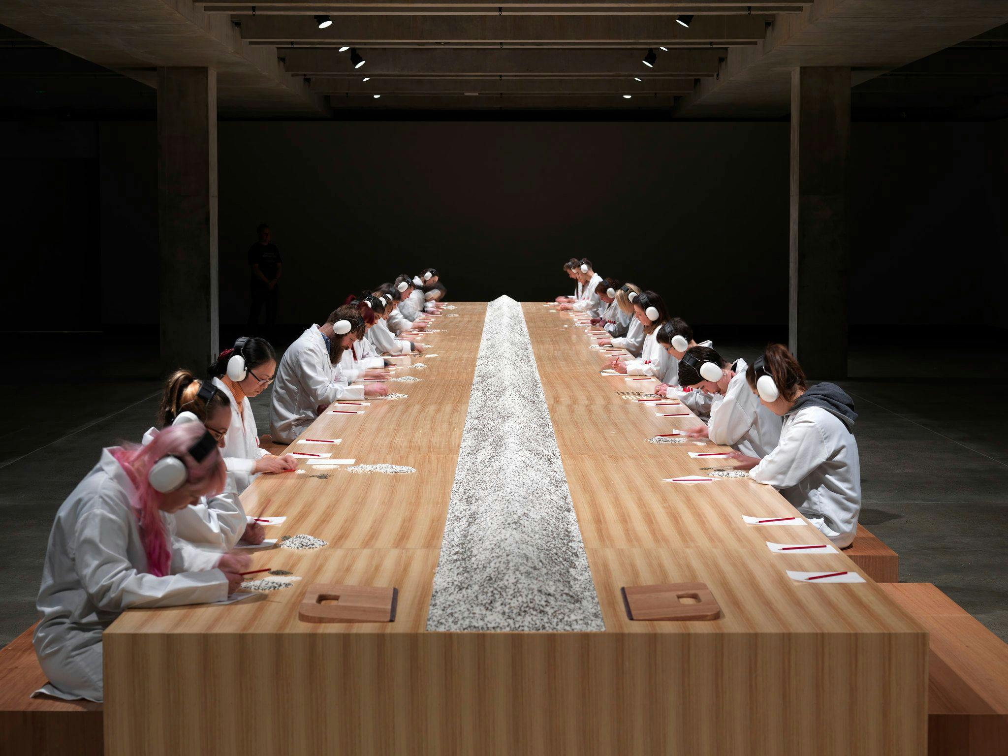 At a long table, a large line of heaped rice runs down the middle, dividing it into two sections. People sit on either side, each wearing headphones and separating black and white rice pieces.