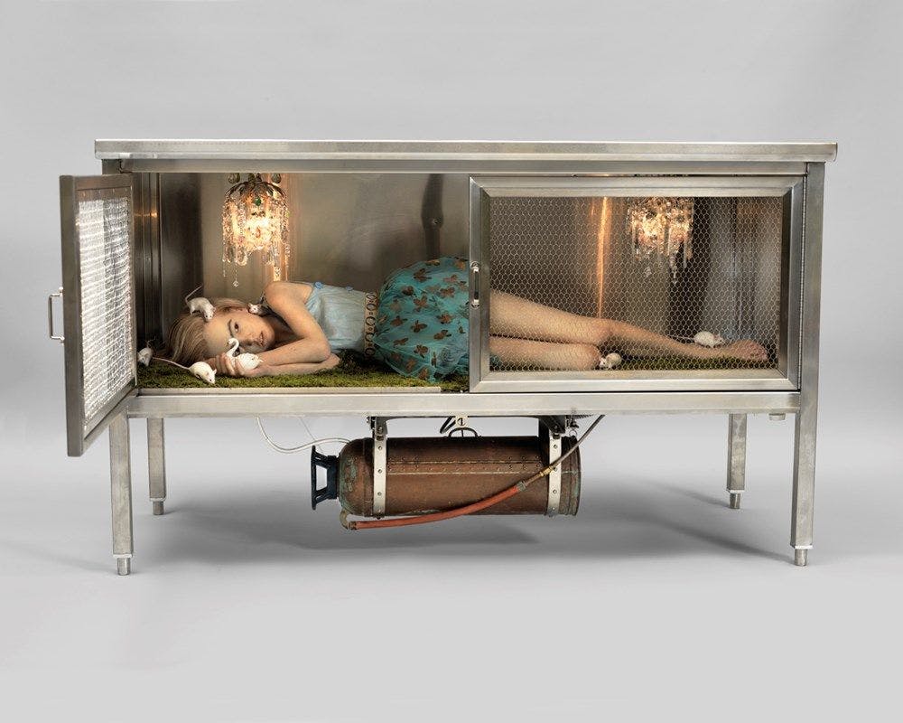 A small girl in tulle lies inside a metal cabinet with mice and chandeliers.
