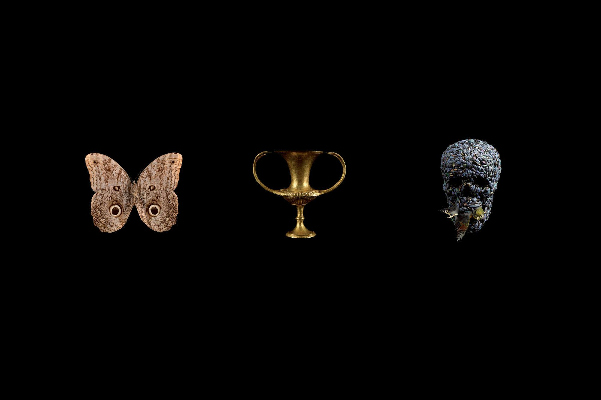 A Butterfly, a Greek vase and a skull made of feathers eating a bird.