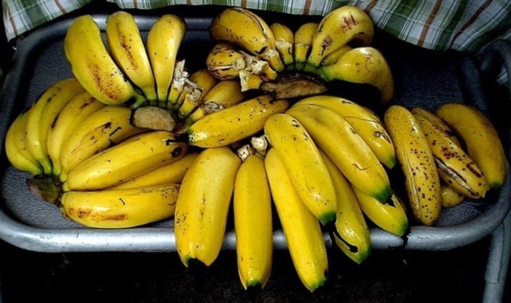 5 bunches of bananas