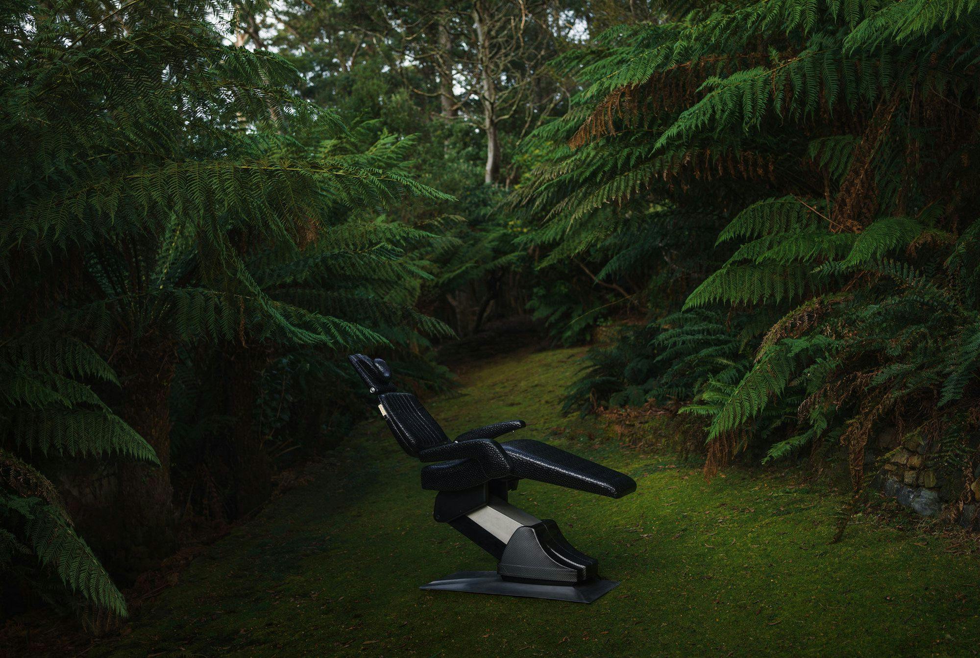 Medical chair on moss in a fern filled forest scene