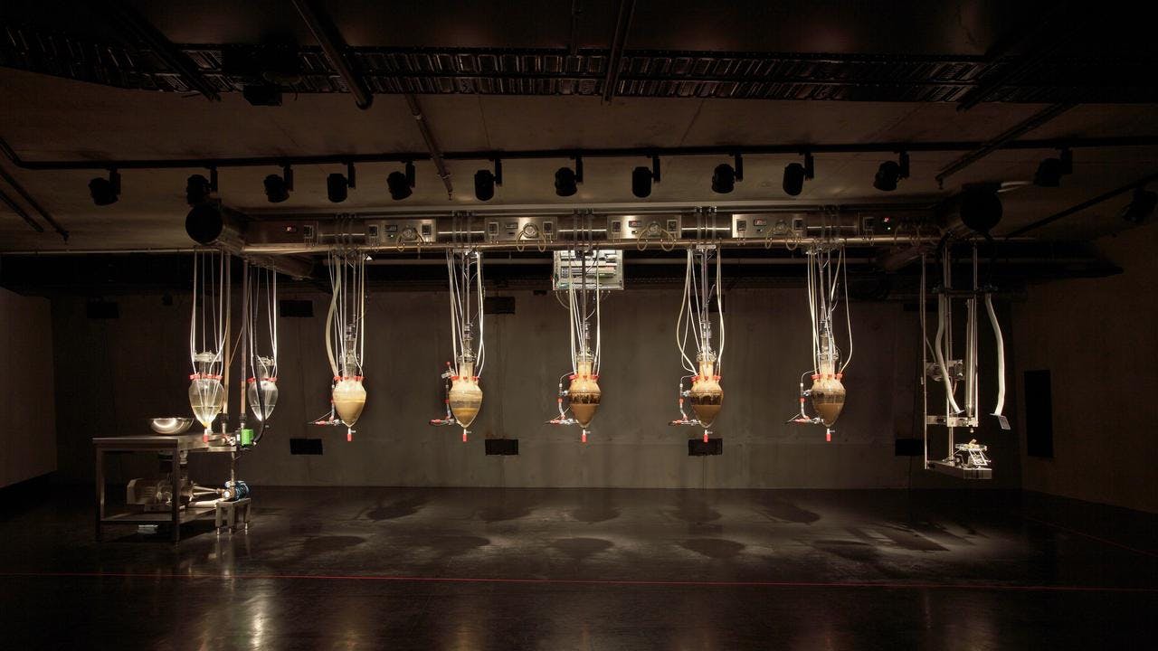 6 chambers suspended from the ceiling in a darkened room making shit.