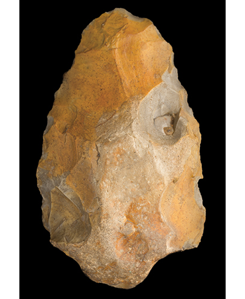 An axe head of rock