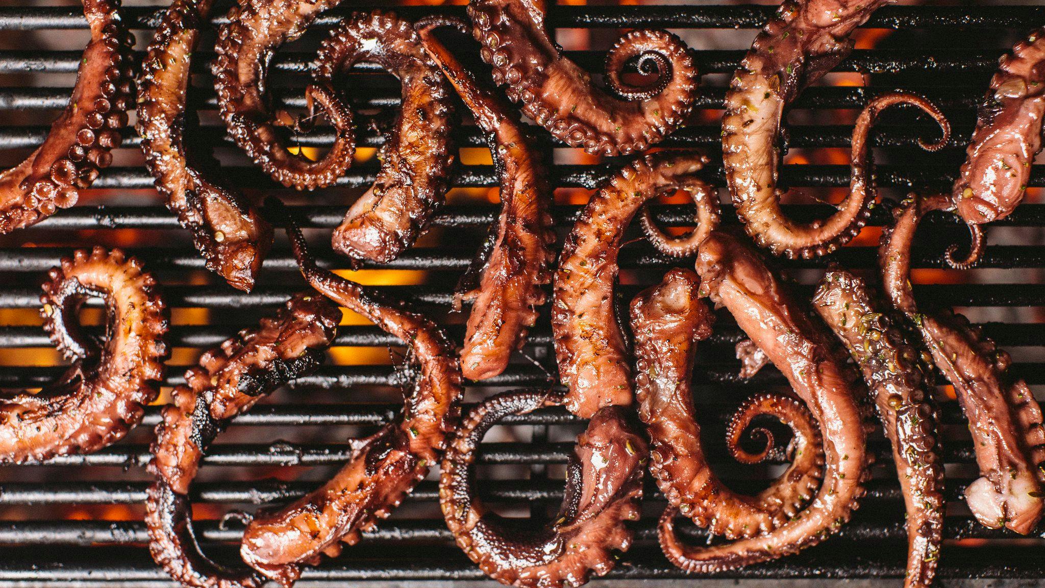 Friend octopus legs on a grill