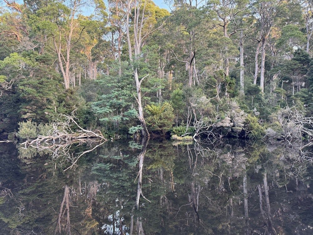 Photograph of a forest reflecting off a still river.