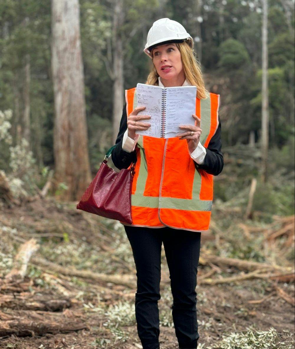 Kirsha wearing hi-vis in a forestry coupe