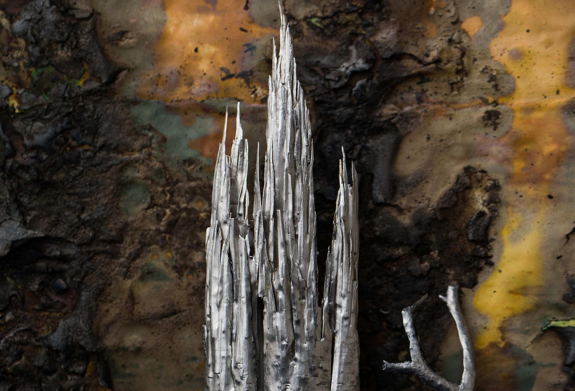Close up of a silver broken tree limb on orange and brown organic matter.
