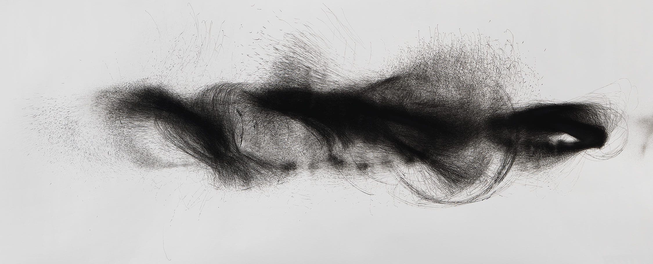 a sketch on a white canvas that is made from wind.