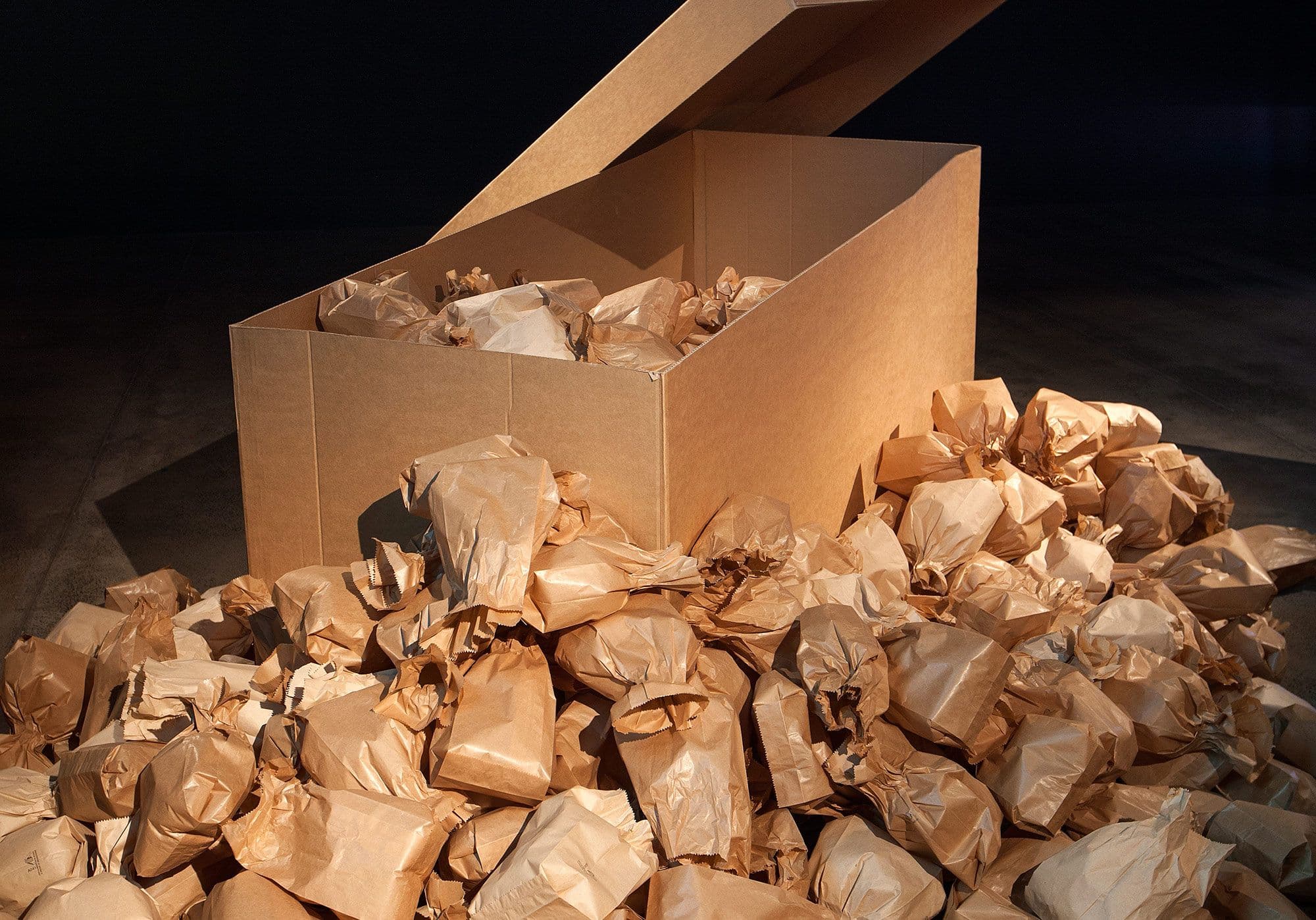 Brown paper bags around and inside a brown paper box